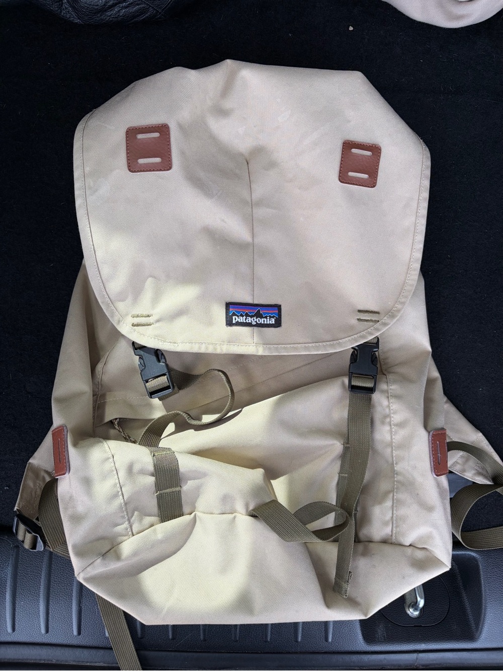 Patagonia Beige/Tan Canvas Trail Backpack